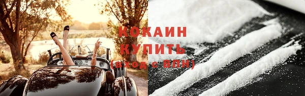 тгк Шали